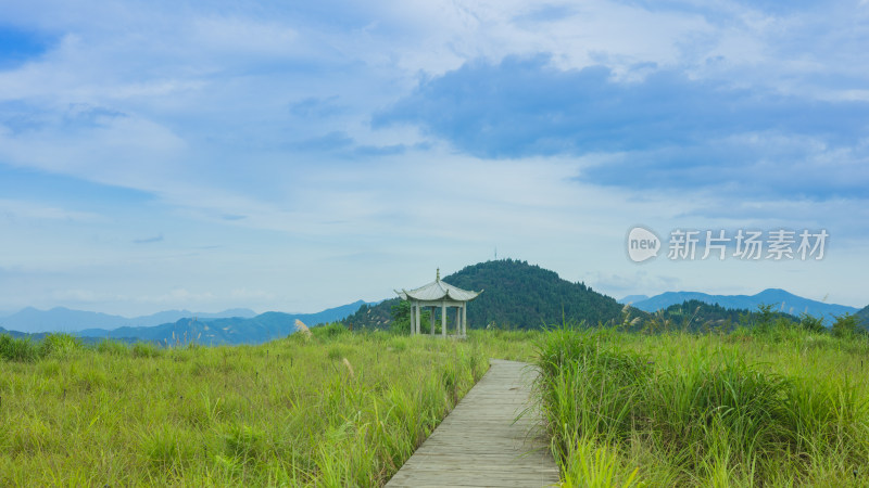 山坡小道