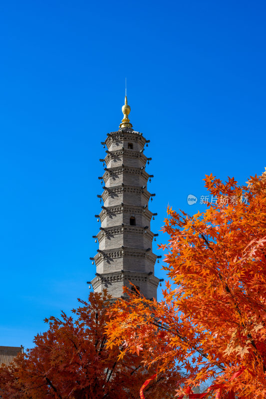 武威鸠摩罗什寺