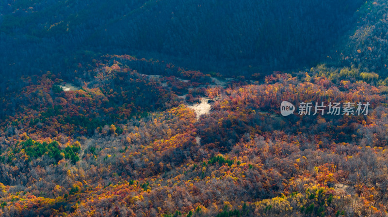 多彩山林景观的航拍全景