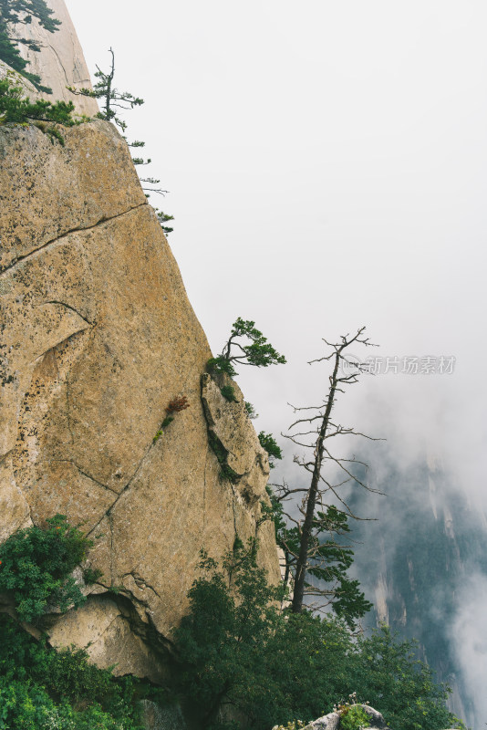 西岳华山日出日落朝霞晚霞云海美景