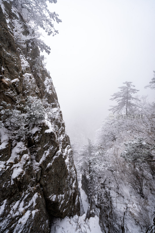 老君山下雪大山森林雾凇景观