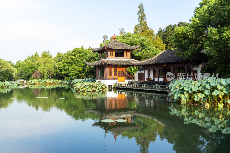 中国杭州西湖，曲院风荷，亭台楼阁园林景观