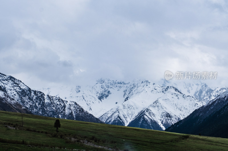 新疆夏塔雪山草原绝美震撼风光