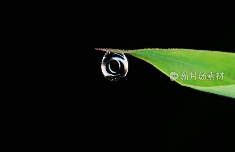 草叶上晶莹剔透的露珠特写