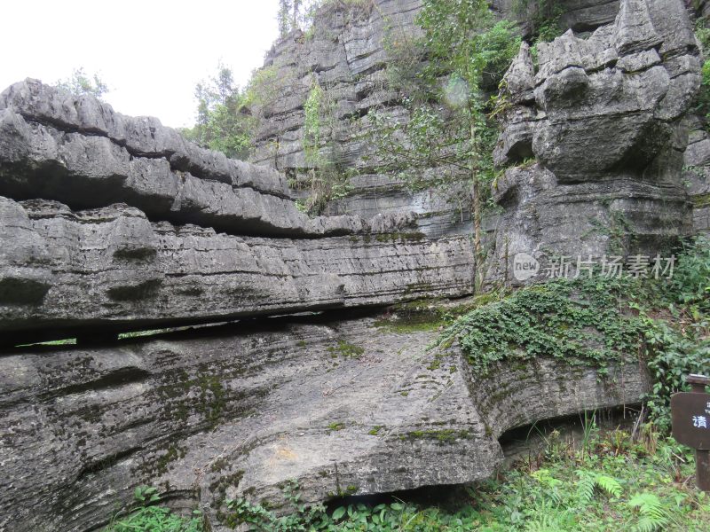 湖北恩施梭布垭石林旅游风光