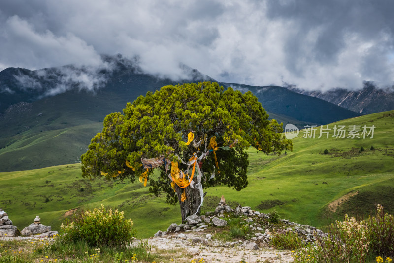 蓝天白云下广袤草原与连绵山峦自然风景