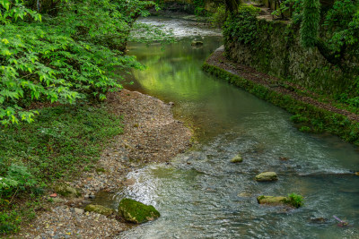 自然户外宁静溪流小河水流潺潺流水