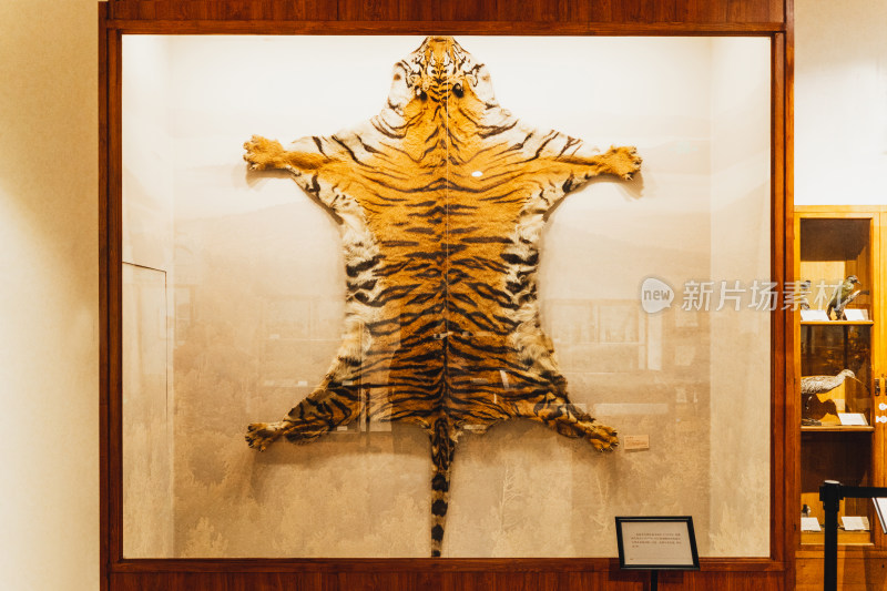 哈尔滨黑龙江省博物馆