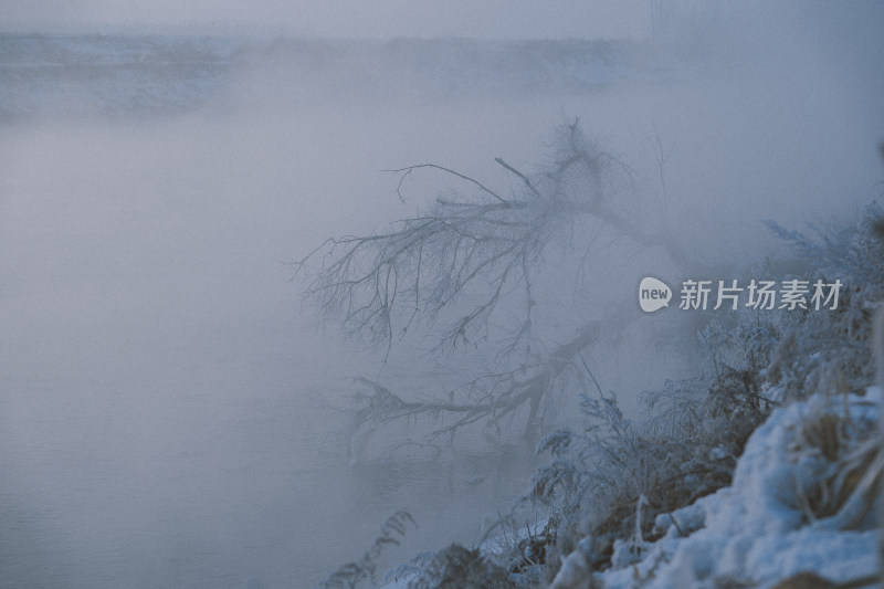 冬天吉林雾凇岛