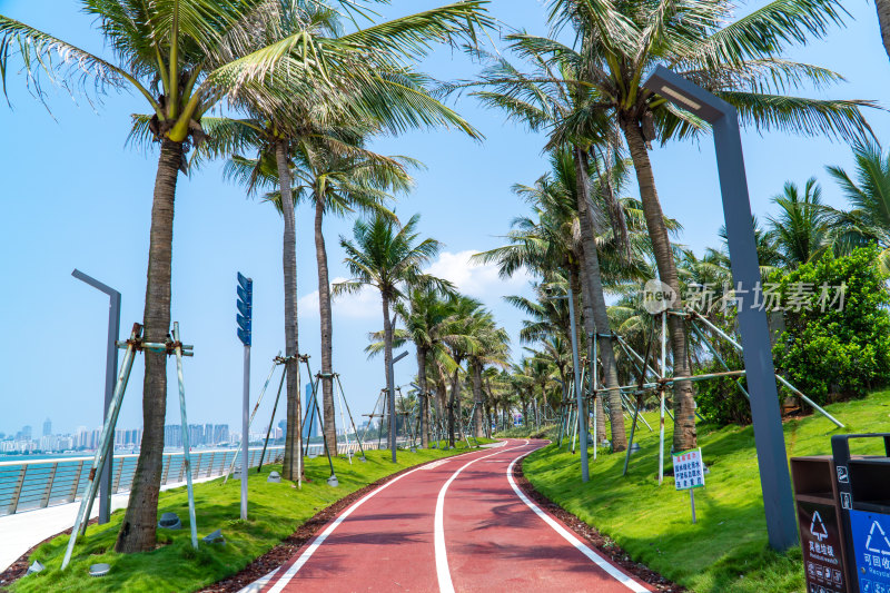 海口市滨海大道海边绿道风光带