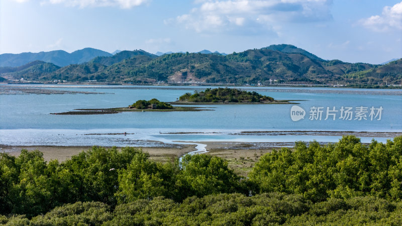 惠州市盐洲海洋湿地公园-红树林航拍