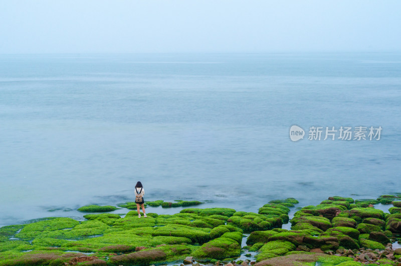 山东青岛绿藻布满岩石的海岸边站着一位少女