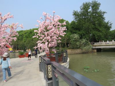 江苏无锡太湖鼋头渚风景区