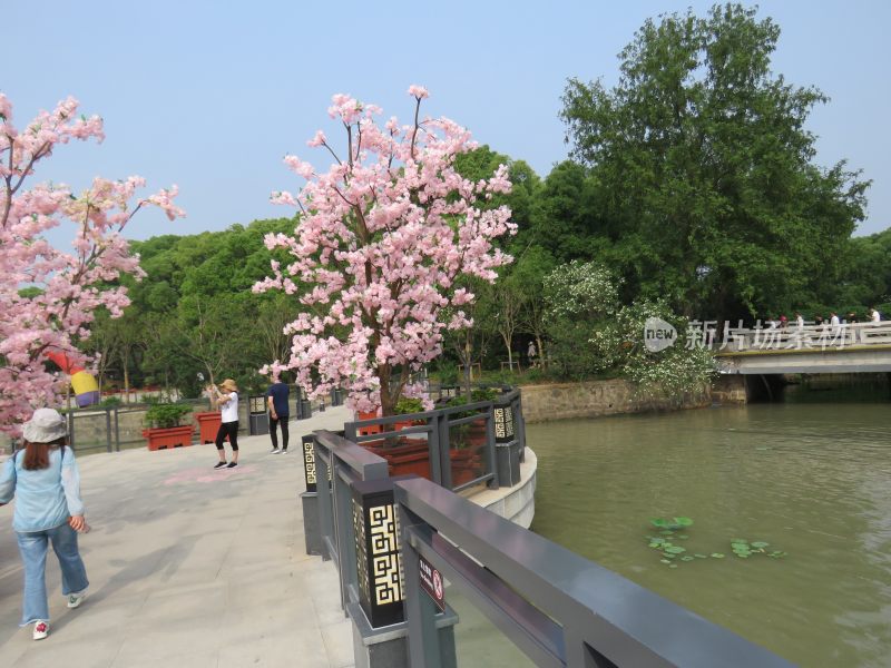 江苏无锡太湖鼋头渚风景区