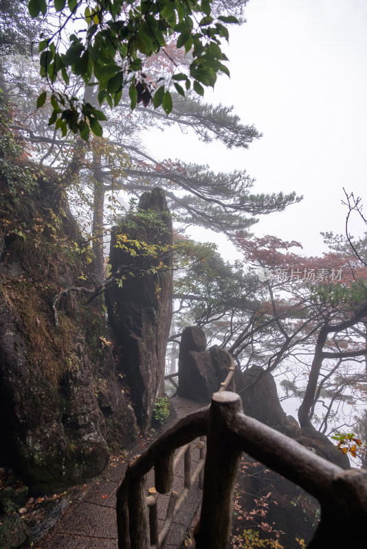 云雾下，安徽黄山风景区风光