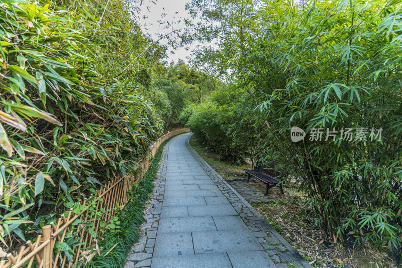 浙江杭州植物园自然风光