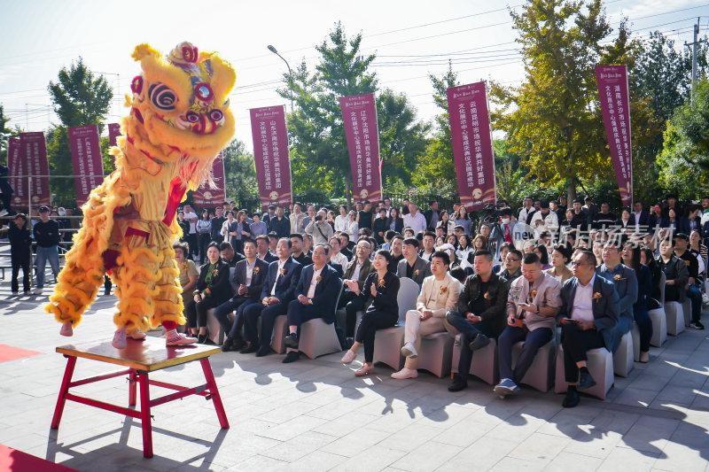 开业 庆典 场馆展示 舞狮  启动仪式