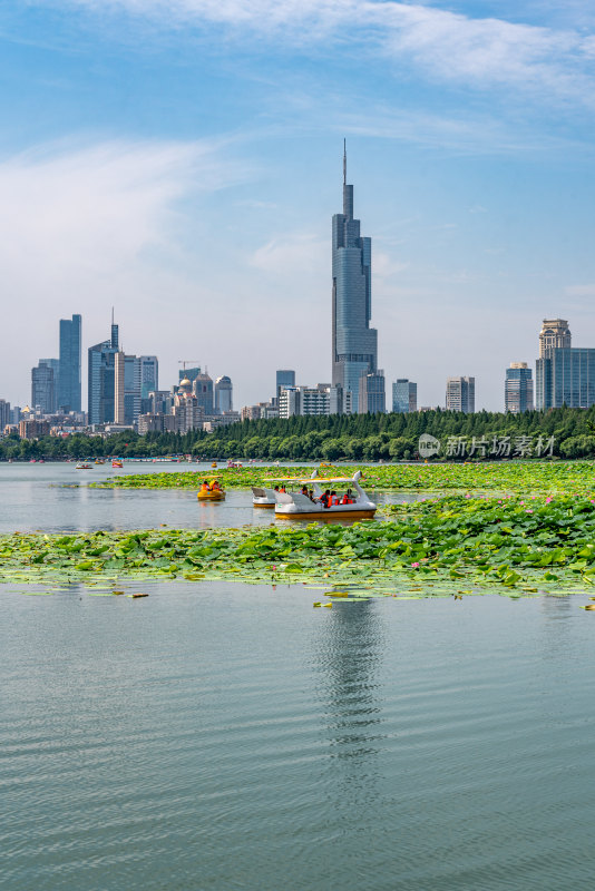 夏天的南京玄武湖自然景观与荷花