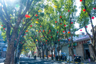 云和县城挂满彩灯的街道树木与街边店铺景象