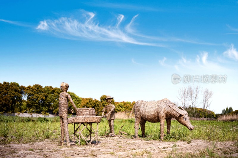 田野中的稻草人及稻草牛景观