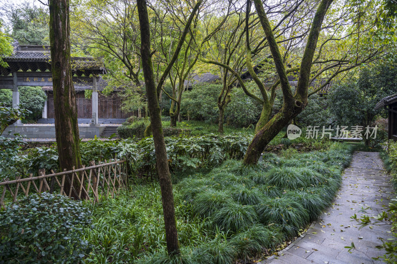 杭州三台山浙商总会风景