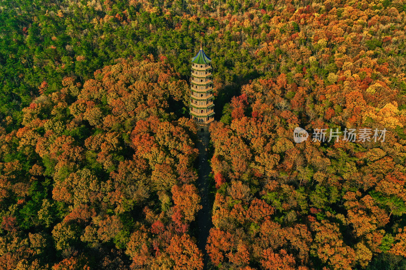 秋天的灵谷景区