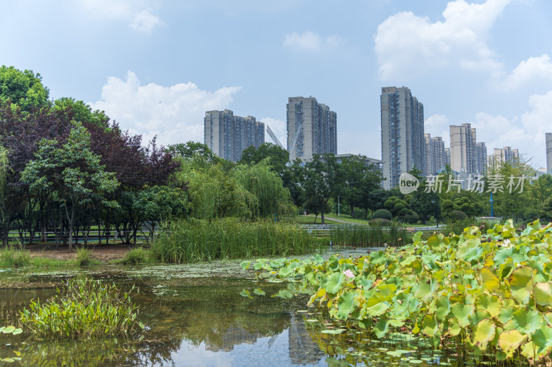 武汉关山荷兰风情园风景