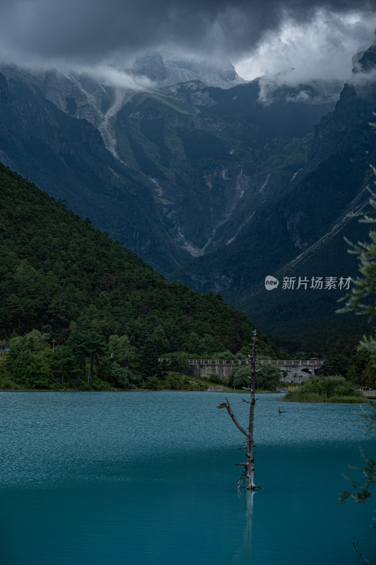 山间蓝湖与枯树风景