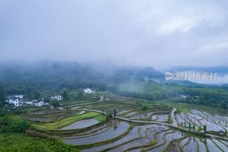 云雾缭绕中的田园风光