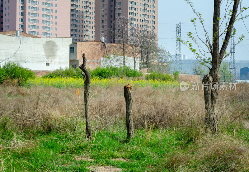 城市郊外荒芜的土地