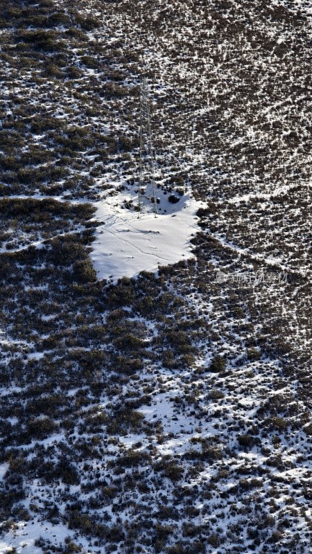 覆盖着积雪的地面与矗立的高塔