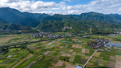 航拍乡村绿色稻田 乡村振兴