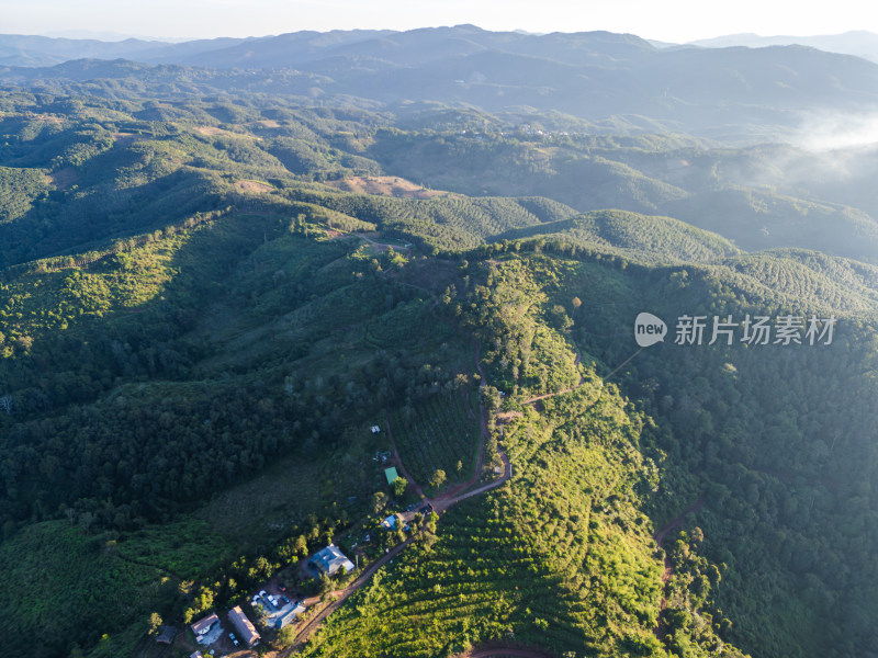 航拍视角下的丛林间越野车营地与植被景象