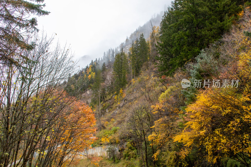 秋色山林