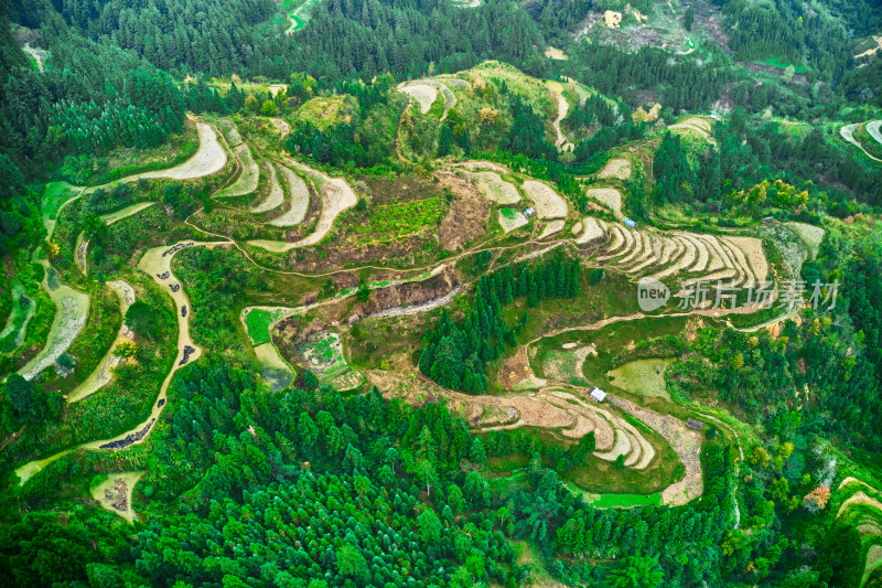 贵州山区的梯田