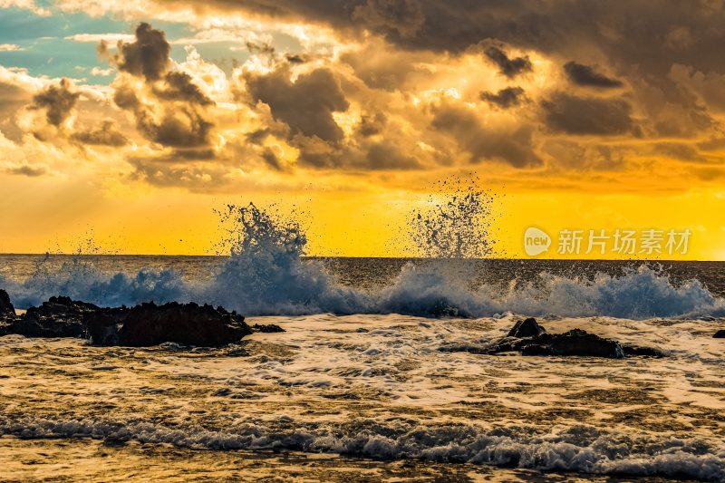 大海浪潮汹涌海浪波涛汹涌浪花巨浪