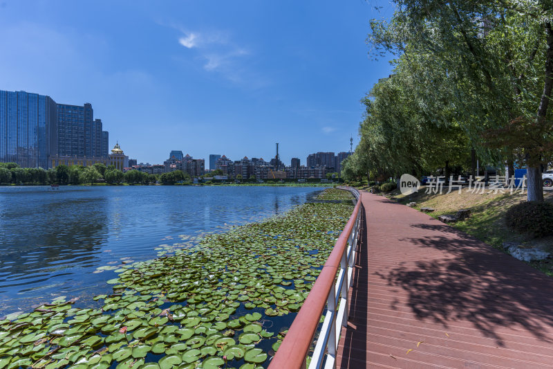 武汉武昌区内沙湖公园风景