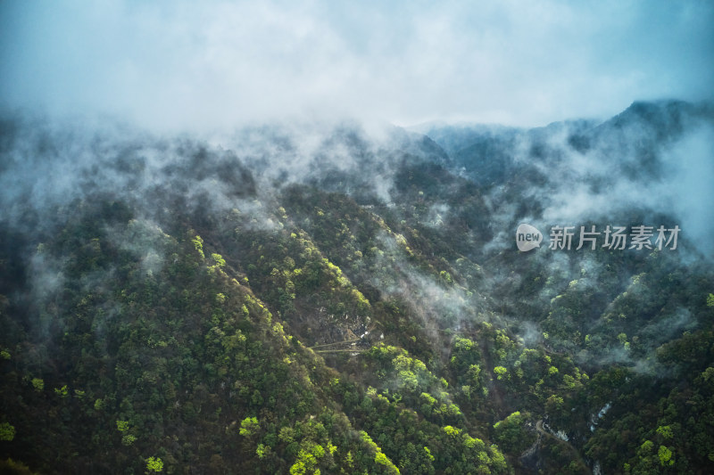 神秘的原始神农架林区