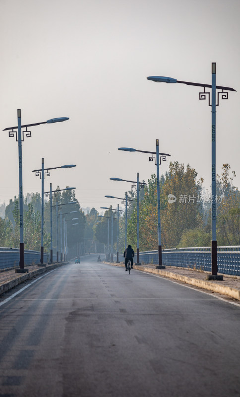 道路上整齐排列的中式路灯