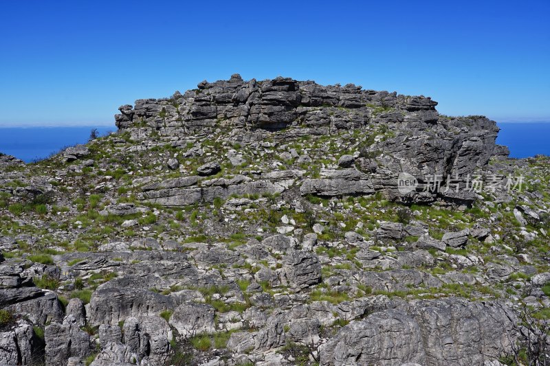 南非桌山Table Mountain，山顶风景，岩石