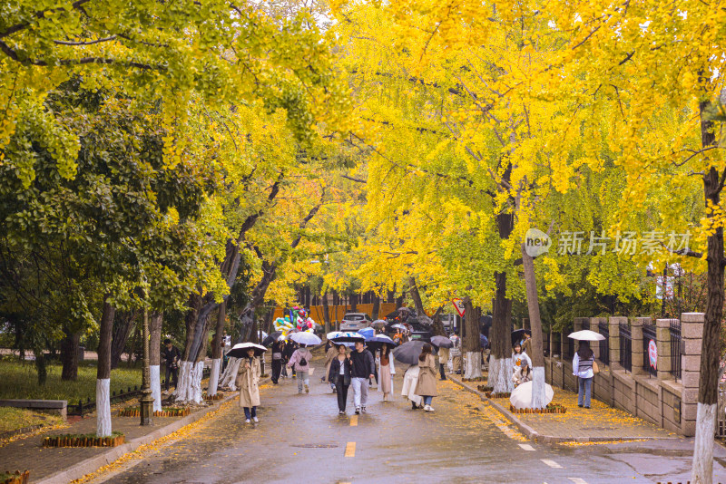 青岛八大关风景区风光