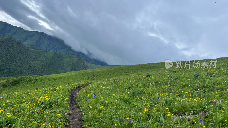 高山草坪中的小道