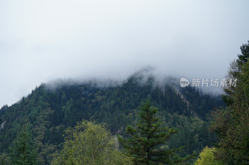 四川阿坝藏族羌族自治州九寨沟景区