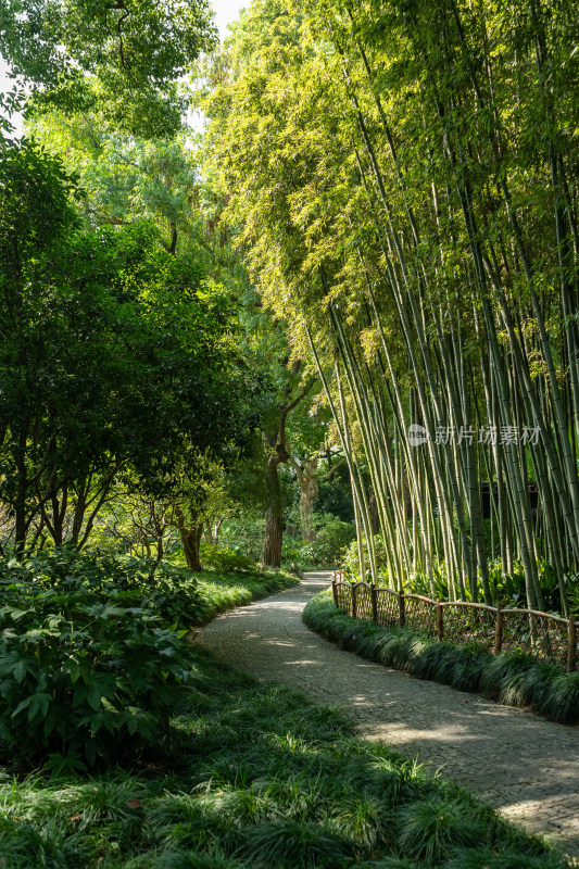 上海松江醉白池公园风景