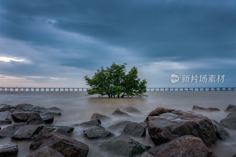 深圳西湾红树林湿地公园风景
