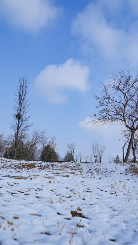 公园雪景素材