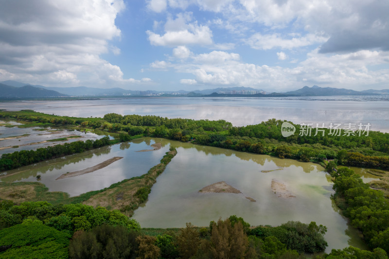 深圳福田红树林保护区