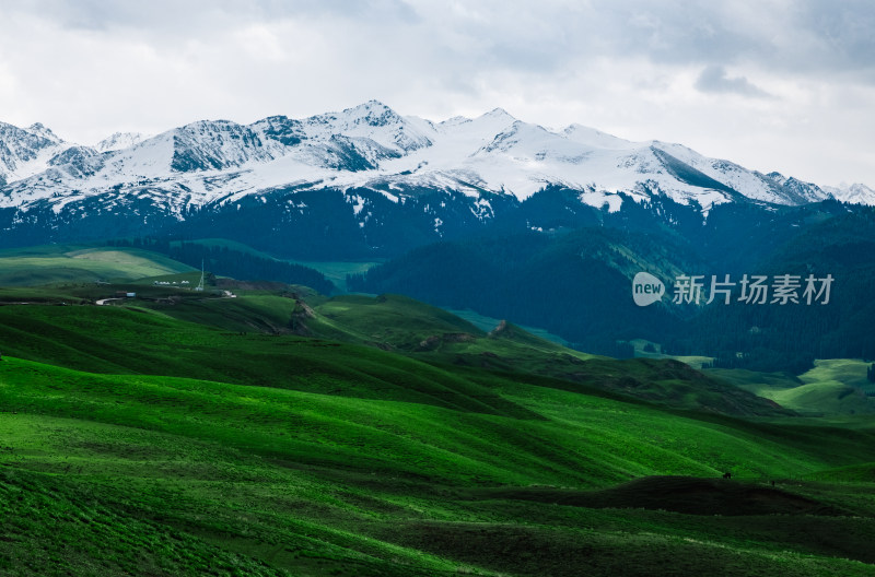 新疆伊犁琼库什台雪山森林草原风光