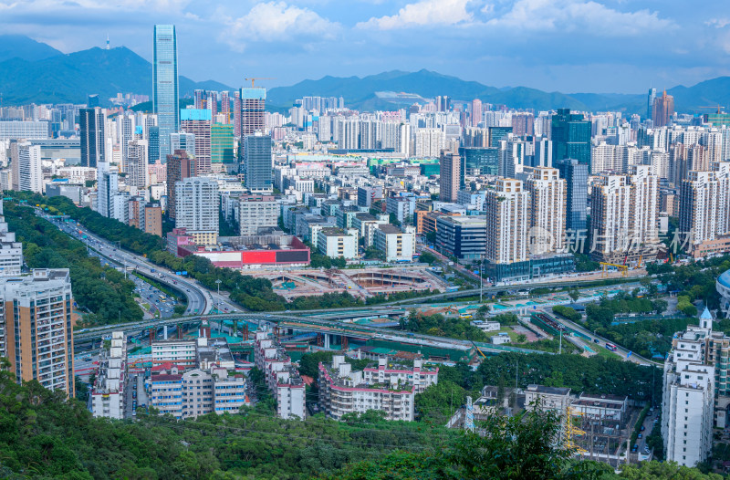 深圳笔架山顶看罗湖CBD城市高楼建筑全景