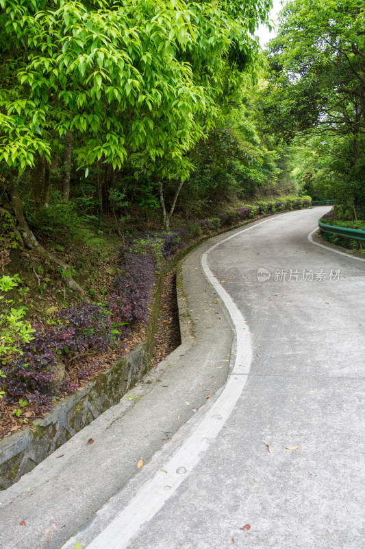 清溪森林公园盘山公路